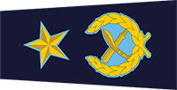 Police Ranks in Nepal | Nepal Police New Rankings with Insignia 2079 AIGP badge