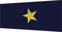 Police Ranks in Nepal | Nepal Police New Rankings with Insignia 2079 asi badge