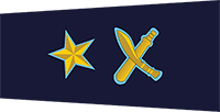 Police Ranks in Nepal | Nepal Police New Rankings with Insignia 2079 dsp badge